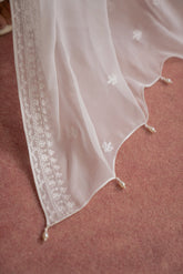 1 Piece Chiffon Embroidered Dupatta (FD0008)